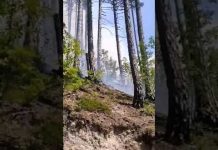 Šumski požar na lokalitetu Zvekuša kod Konjica