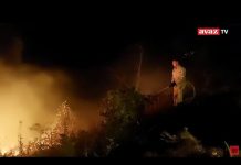 Dramatični snimci požara kod Konjica: Vatra bjesni planinom Zvekušom