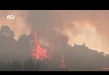 Ne smiruju se požari u Turskoj: U zatvoru član PKK osumnjičen za podmetanje požara. Politička borba!