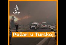 Osam žrtava požara u Turskoj, vatra i dalje prijeti ljetovalištima