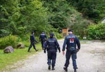 Raspisana potjernica za Bosancem koji je ubio bivšu ženu metalnom šipkom, policija u šumi traga za njim