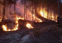 Požar ponovo plamti nedaleko od Mostara