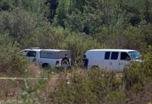 Sljedbenik teorija zavjere ubio svoju djecu, smatrao da imaju “zmijsku DNK”