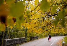 Objavljena prognoza do 10. oktobra: Šta kažu meteorolozi – kad nam dolazi zahlađenje