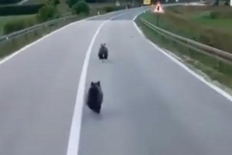 20210905182507_679485