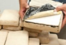 Holandija: U luci Roterdam zaplijenjene četiri tone kokaina