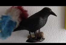 AJB DOC predstavlja – Bugarski san – Ponedjeljak 23:05