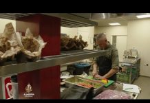 Nizozemska i manjak radnika | Al Jazeera Svijet