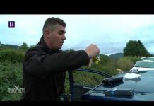 SLUČAJEVI X OBJAVLJUJU: ŠTA JE OVO? TRAVA. ČIJA? MOJA