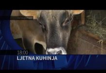 HAYAT TV: LJETNA KUHINJA – najava emisije za 14 09 2021