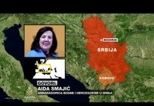 Ambasadorica BiH u Srbiji pozvana na hitne konsultacije u Sarajevo