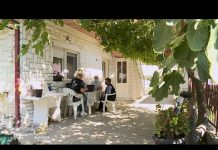 Popis u S. Makedoniji: Neznatan broj građana odbija dati podatke