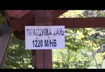 Fundus :Prašuma Janj -18.09.2021.