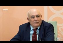 Tadić: Izravnih pritisaka na mene nije bilo