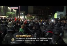 Završen protest u Ljubljani: Sukob s policijom i napadi na novinare