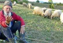 Najastariji ovčar u BiH: Glavni gazda sam bio u svom selu