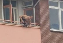 Napad u Nizozemskoj: Dvoje mrtvih, policija pucala na muškarca sa samostrelom