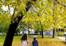 Danas sunce i porast temperatura tokom dana