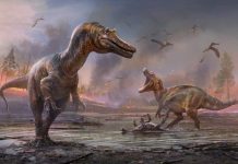 Predatori veliki poput autobusa: Dinosaurusi – ubice, otkriveni su na britanskom ostrvu Vajt