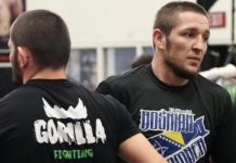 Habib Nurmagomedov besplatno reklamirao Bosnu i Hercegovinu