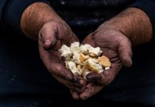 Istraživanje CIN-a: Amra Babić na 12 mjestu po visini iznosa ‘bijelog hljeba’ u BiH od 81 funkcionira iz 51 opštine u BiH