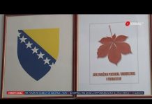 Kome i kako će se povećati penzije: Penzije su sramno male dok su penzioneri poniženi