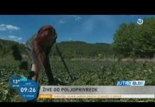 Život odvažne Valentine iz Kupresa