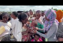 U Tigreju najveća glad koju je svijet vidio u protekloj deceniji