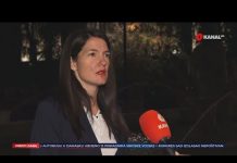 Trivić: Ovo je pokušaj Dodika da spasi sebe i svoju sudbinu, smijenit ćemo ga demokratskim putem