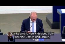 Zastupnik u EU parlamentu iz Austrije Andreas Schieder oštro kritikovao Evropsku komisiju zbog BiH