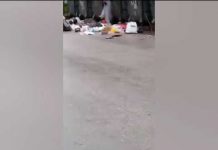 KJKP Rad Sarajevo: Muškarac baca smeće iz kante na ulicu