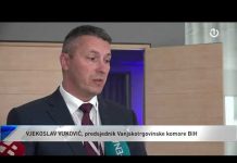 Tekući vodik, energent budućnosti