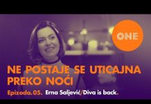 Ne postaje se uticajna preko noći