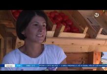 Dnevnik 2 – 03.10.2021.