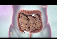 Prevencija ključ za smanjenje smrtnosti od karcinoma debelog crijeva