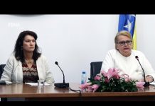 Turković i Linde: OSCE i Švedska dokazani prijatelji i partneri BiH