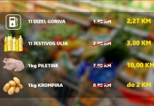 Mogu li i kako vlasti zaštititi građane od poskupljenja?