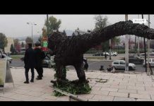 UNDP šalje poruku cijelom svijetu: Ne birajte izumiranje