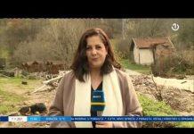 Dnevnik 1 – 07.11.2021.