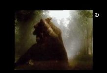 Sačuvaj filmsko blago BiH – 07.11.2021.