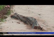 ZAŠTO SARAJEVO PLAVI?