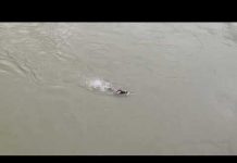 Obilježena 28.godišnjica rušnja Starog mosta u Mostaru