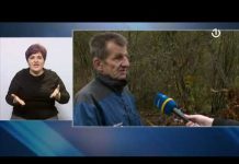 Govor tišine – 13.11.2021.