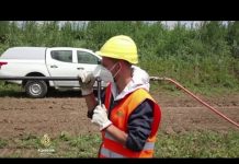 Uskoro početak gradnje novog plinovoda od Dimitrovgrada do Niša