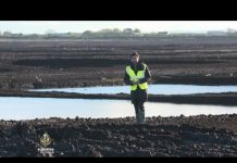 Ekolozi pokušavaju oživiti uništene močvare u Irskoj