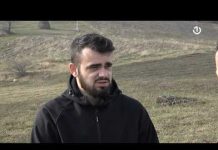 Vračanje malinarstvu kao primarnoj poljoprivrednoj djelatnosti