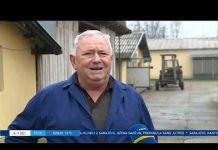 Dnevnik 2 – 14.11.2021.