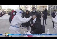 Dnevnik 1 – 15.11.2021.