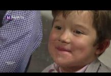 DIJELOVI “BOSANSKOG MEVLUDA” – PROF. DR. DŽEMALUDINA LATIĆA