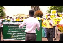 Sve ozbiljniji spor Šri Lanke i Kine zbog đubriva